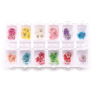 Cre8tion Nail Art - Dry Flower 12 Colors/Tray